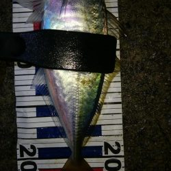 雨の中のピンポイントアジング